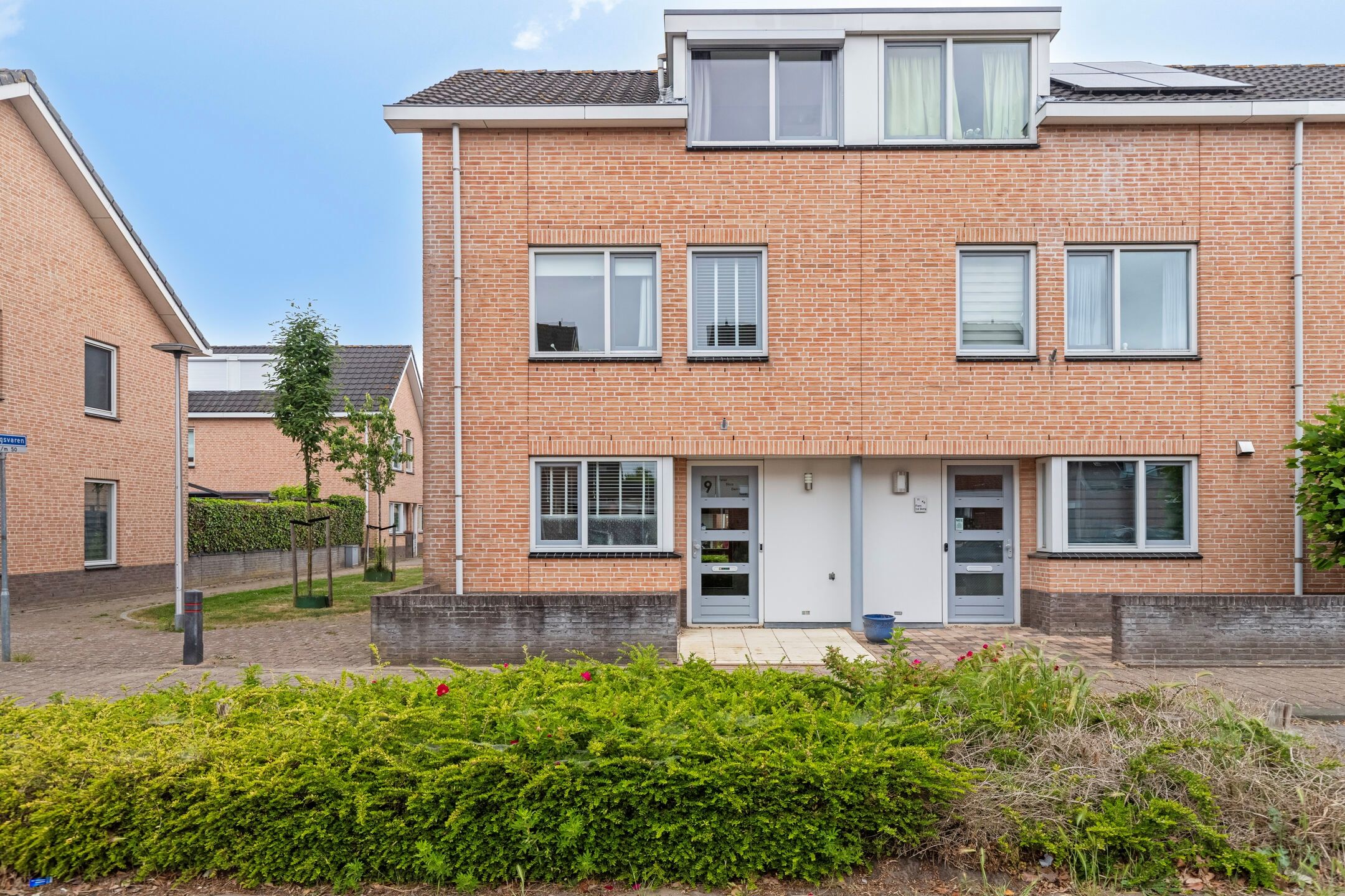 Foto 30 van Fonteinkruid 9