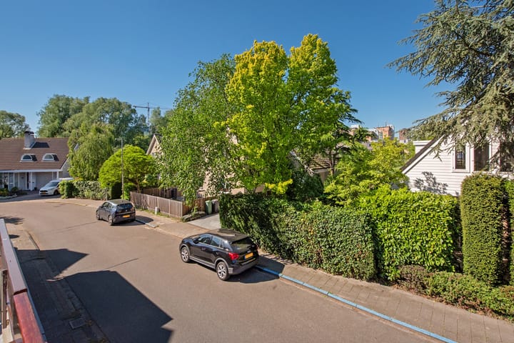 Foto 30 van Saloméschouw 119