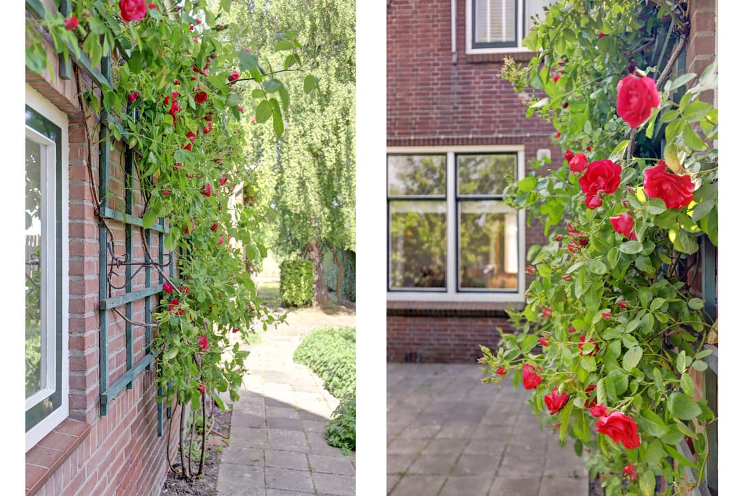 Foto 31 van Zandweg 14