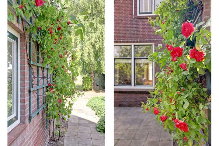 Foto 31 van Zandweg 14