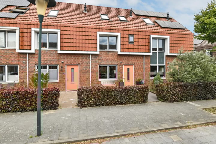 Foto 1 van Fonteinkruid 25