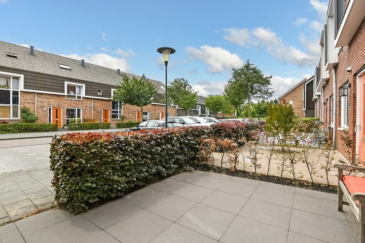 Foto 2 van Fonteinkruid 25