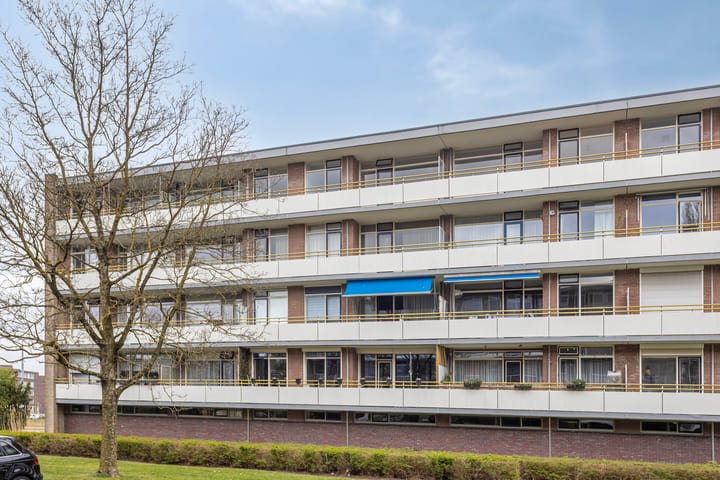 Foto 29 van Van Borselenstraat 52