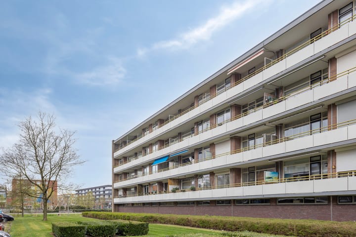 Foto 30 van Van Borselenstraat 52