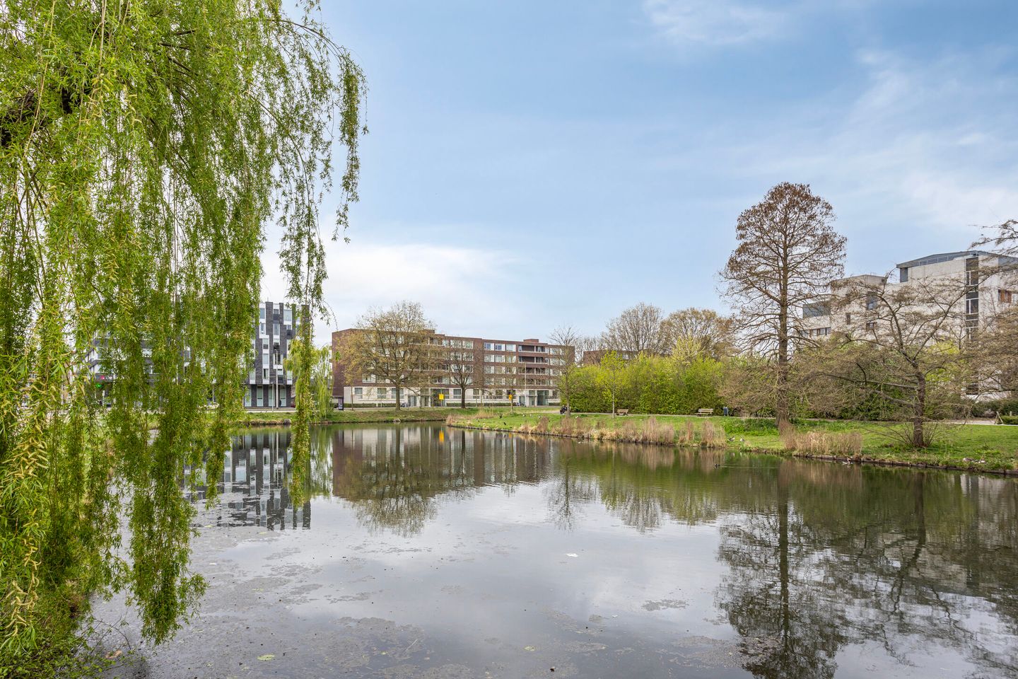 Foto 34 van Van Borselenstraat 52