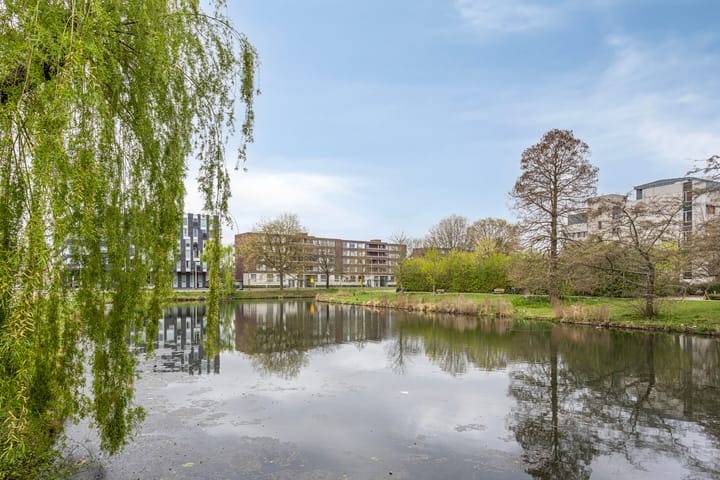 Foto 34 van Van Borselenstraat 52