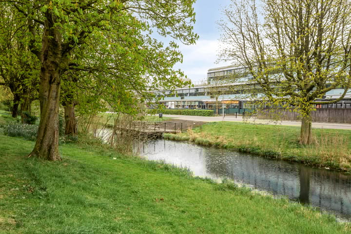 Foto 35 van Van Borselenstraat 52