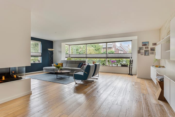 Foto 2 van Zilverschoon 3