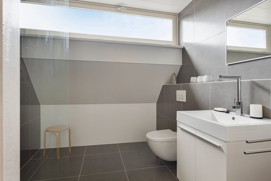 Foto 52 van Zilverschoon 3