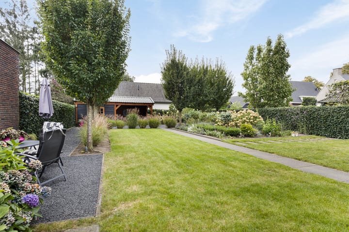 Foto 62 van Zilverschoon 3