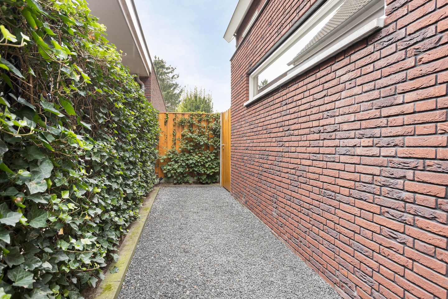 Foto 70 van Zilverschoon 3