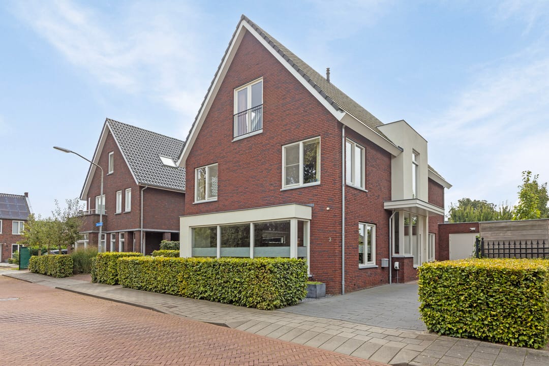 Foto 77 van Zilverschoon 3