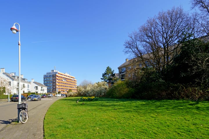 Foto 19 van De Savornin Lohmanlaan 144