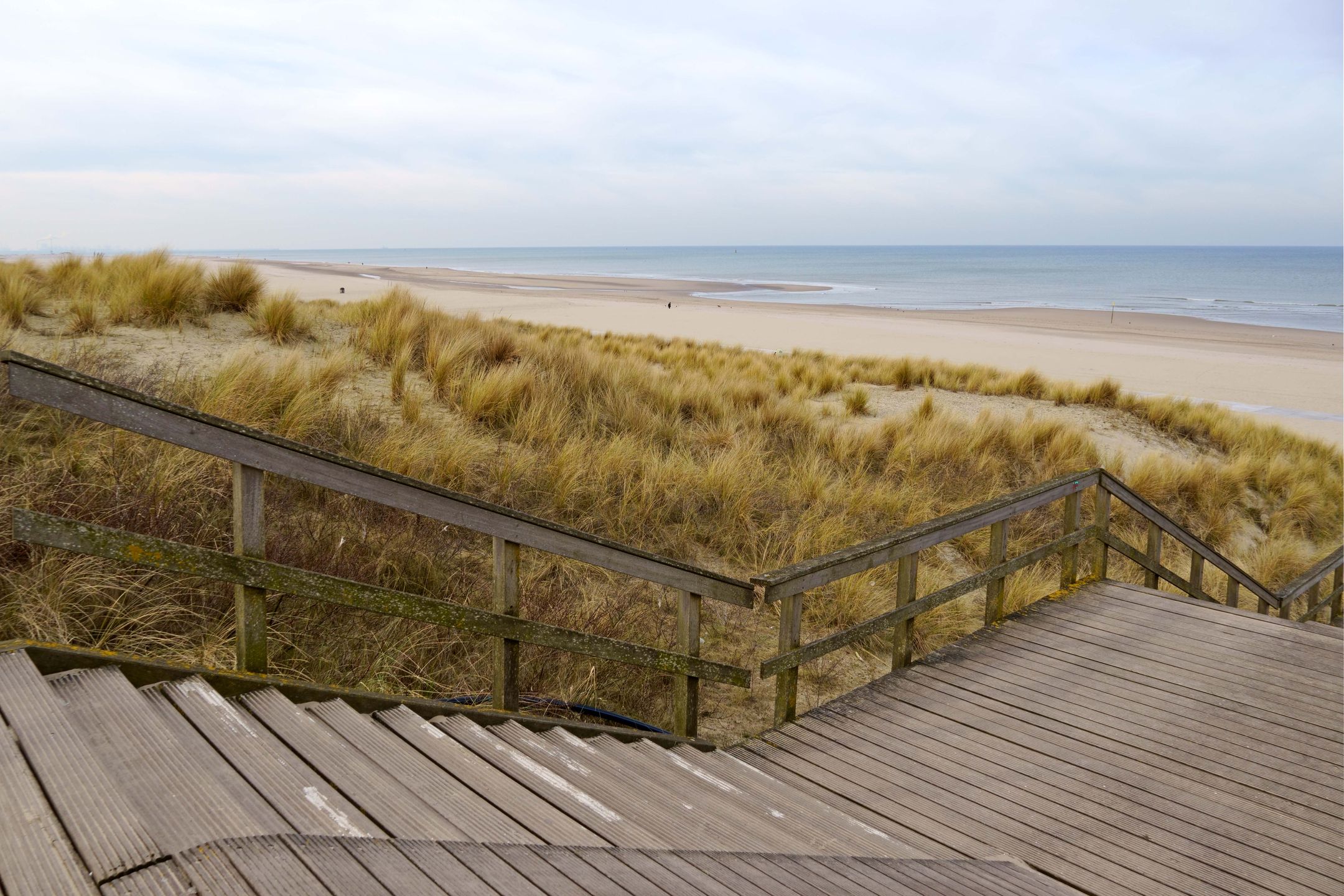 Foto 21 van De Savornin Lohmanlaan 144