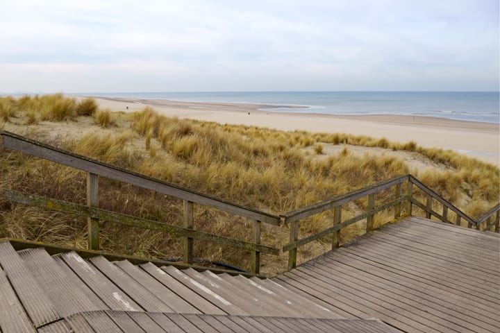 Foto 21 van De Savornin Lohmanlaan 144