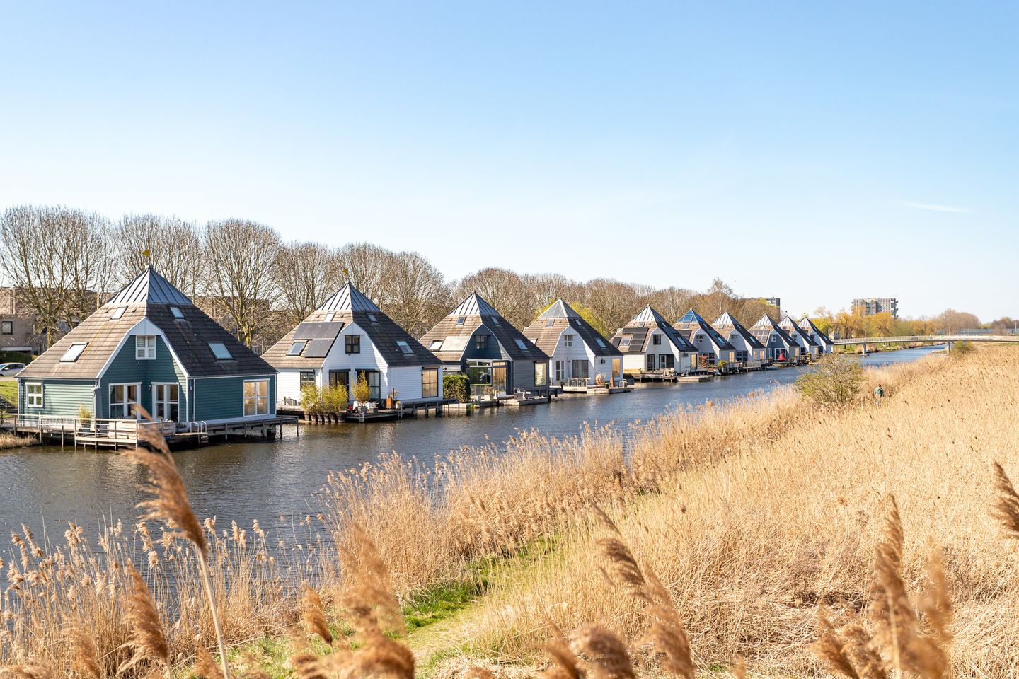 Foto 1 van Victoria Regiastraat 15