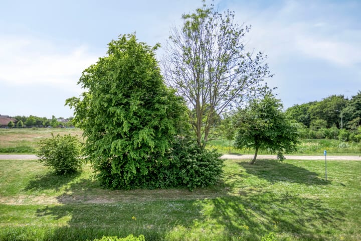 Foto 42 van Willem Alexanderweg 33