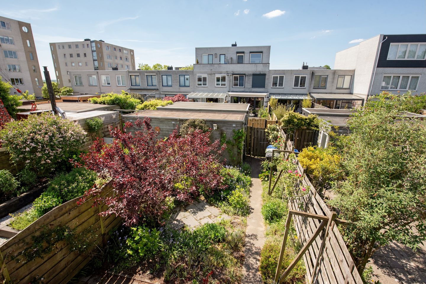 Foto 25 van Adenstraat 6