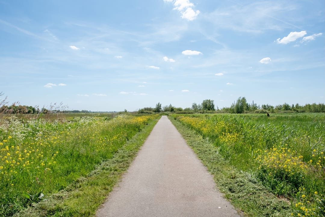 Foto 28 van Adenstraat 6