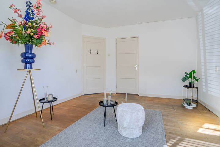 Photo 20 of Lodewijk Napoleonlaan 32