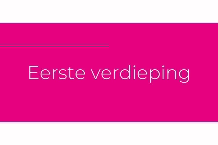 Photo 24 of Lodewijk Napoleonlaan 32