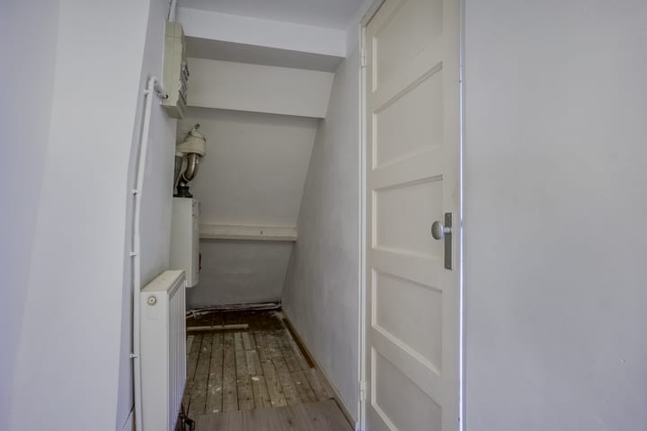 Photo 42 of Lodewijk Napoleonlaan 32