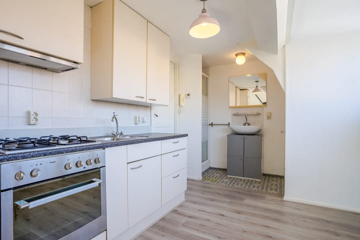 Photo 44 of Lodewijk Napoleonlaan 32