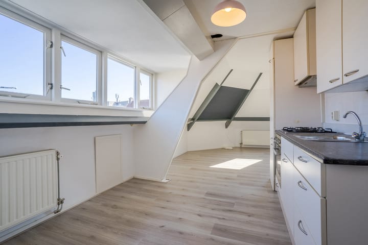 Photo 43 of Lodewijk Napoleonlaan 32