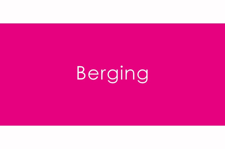 Photo 60 of Lodewijk Napoleonlaan 32