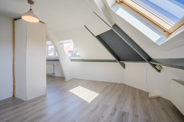 Photo 48 of Lodewijk Napoleonlaan 32