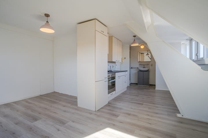 Photo 46 of Lodewijk Napoleonlaan 32