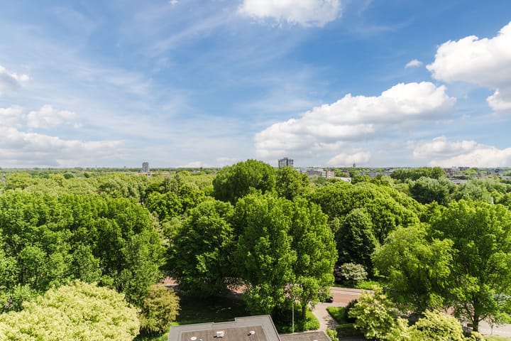 Foto 9 van Van Goudoeverstraat 59