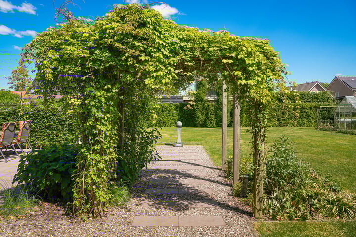 Foto 40 van Zonnewoud 56-A