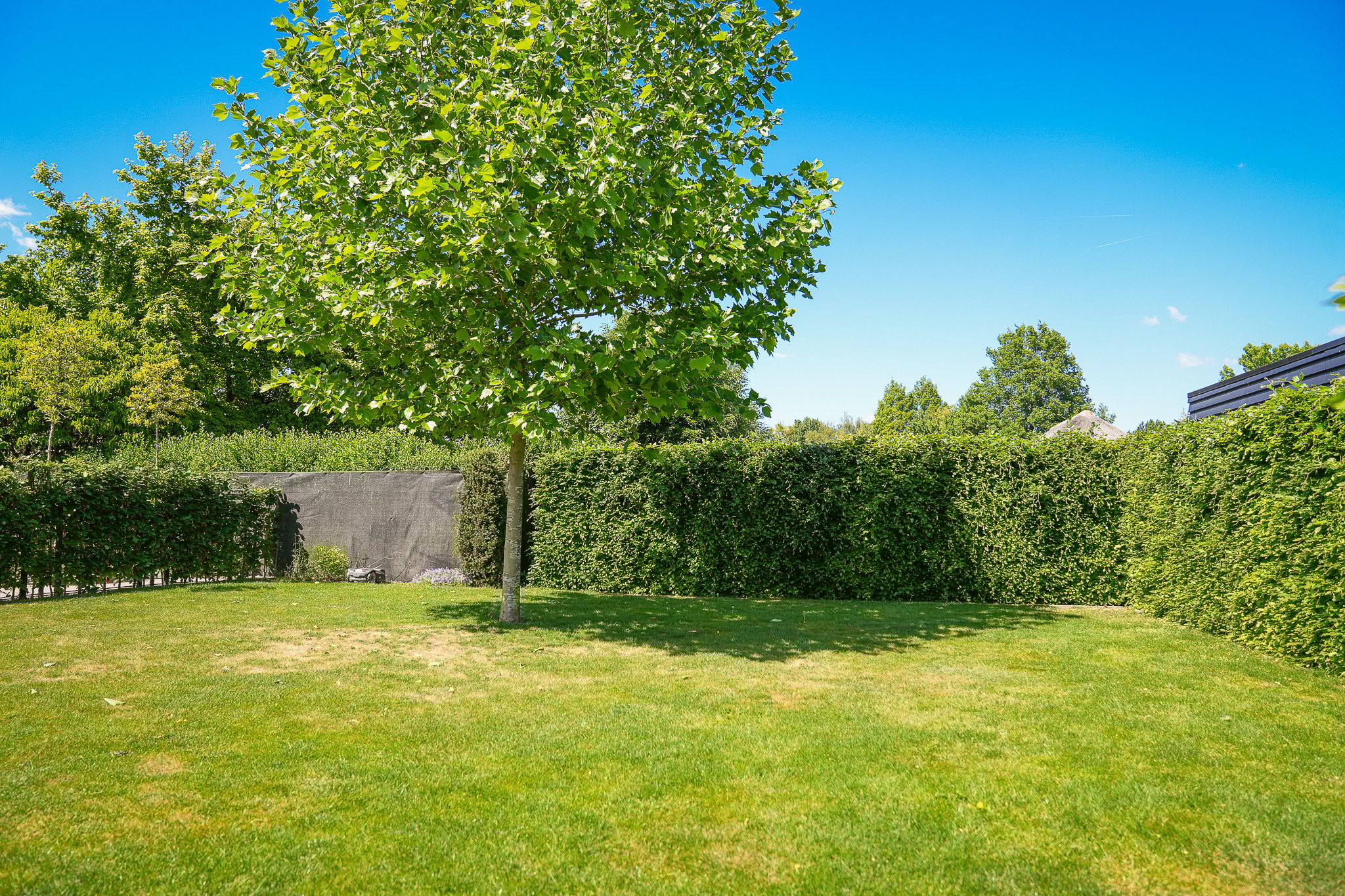 Photo 45 of Zonnewoud 56-A