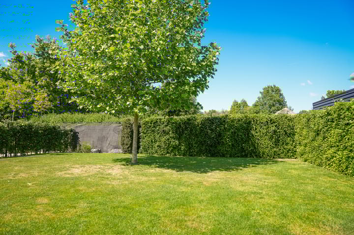 Foto 45 van Zonnewoud 56-A