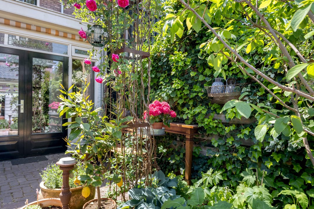 Photo 37 of Groen van Prinstererweg 20