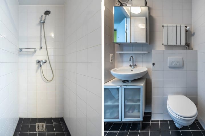 Photo 12 of Bos en Lommerplantsoen 33-E