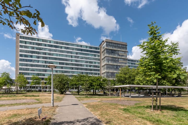 Photo 19 of Bos en Lommerplantsoen 33-E