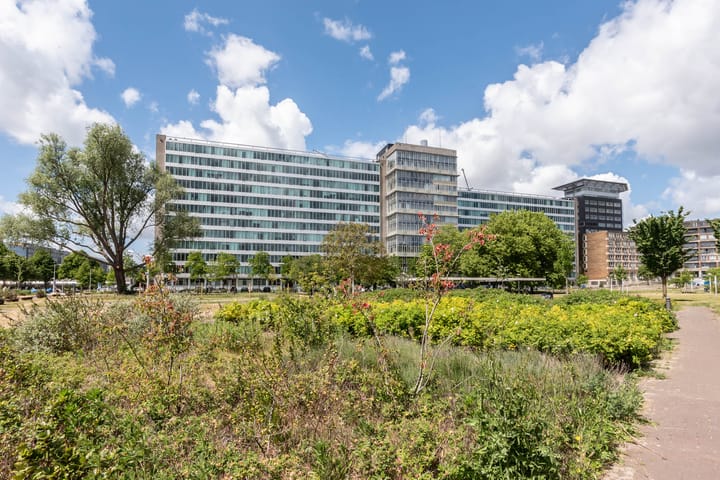 Photo 20 of Bos en Lommerplantsoen 33-E