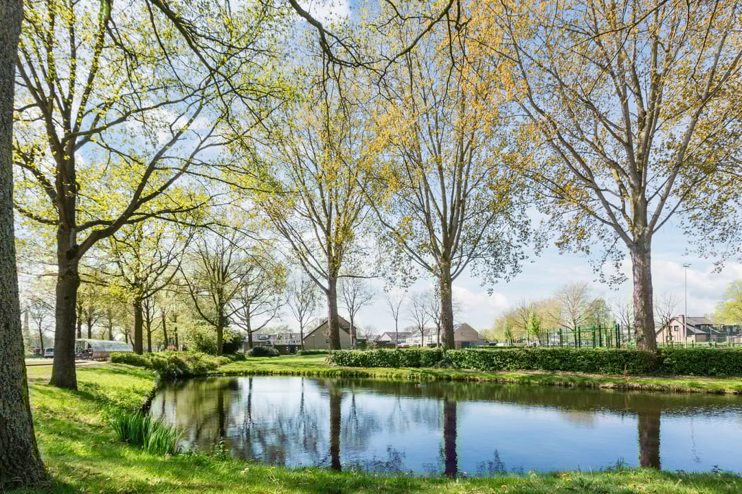 Foto 46 van Straussweg 43