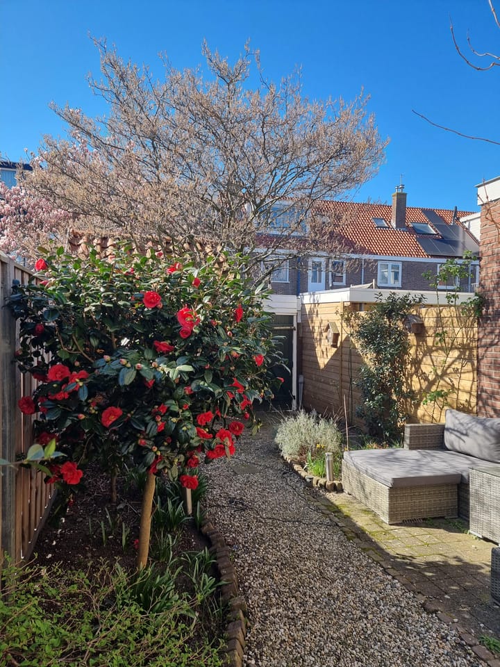 Foto 50 van Berkelstraat 159