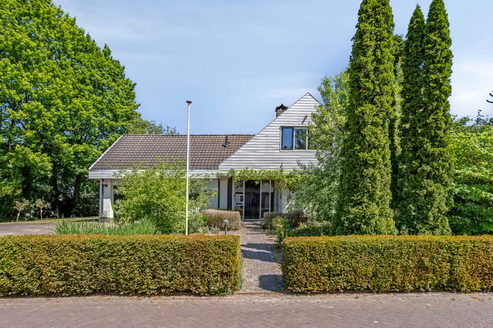 undefined main image