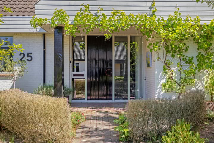 Foto 3 van de Alerdink 25