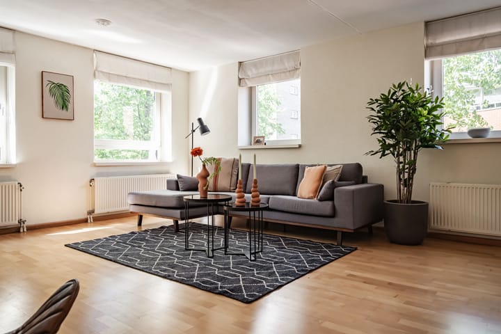 Foto 4 van Raadhuisstraat 11-G