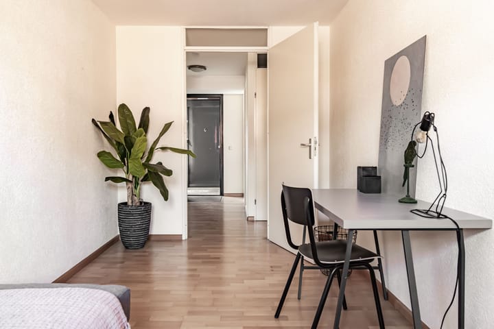 Foto 16 van Raadhuisstraat 11-G