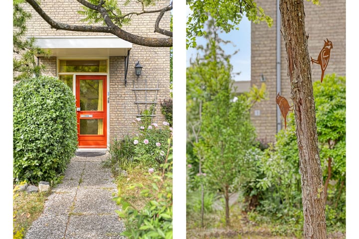 Foto 34 van Groenendaal 1