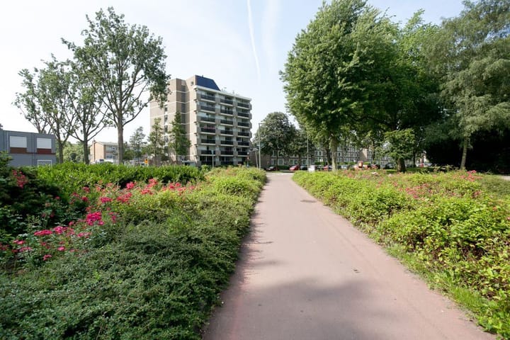 Foto 14 van Nassauplantsoen 19