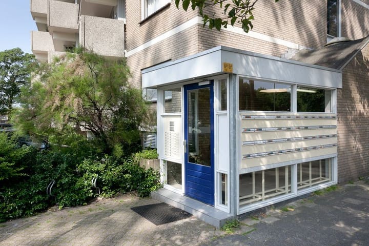 Foto 15 van Nassauplantsoen 19