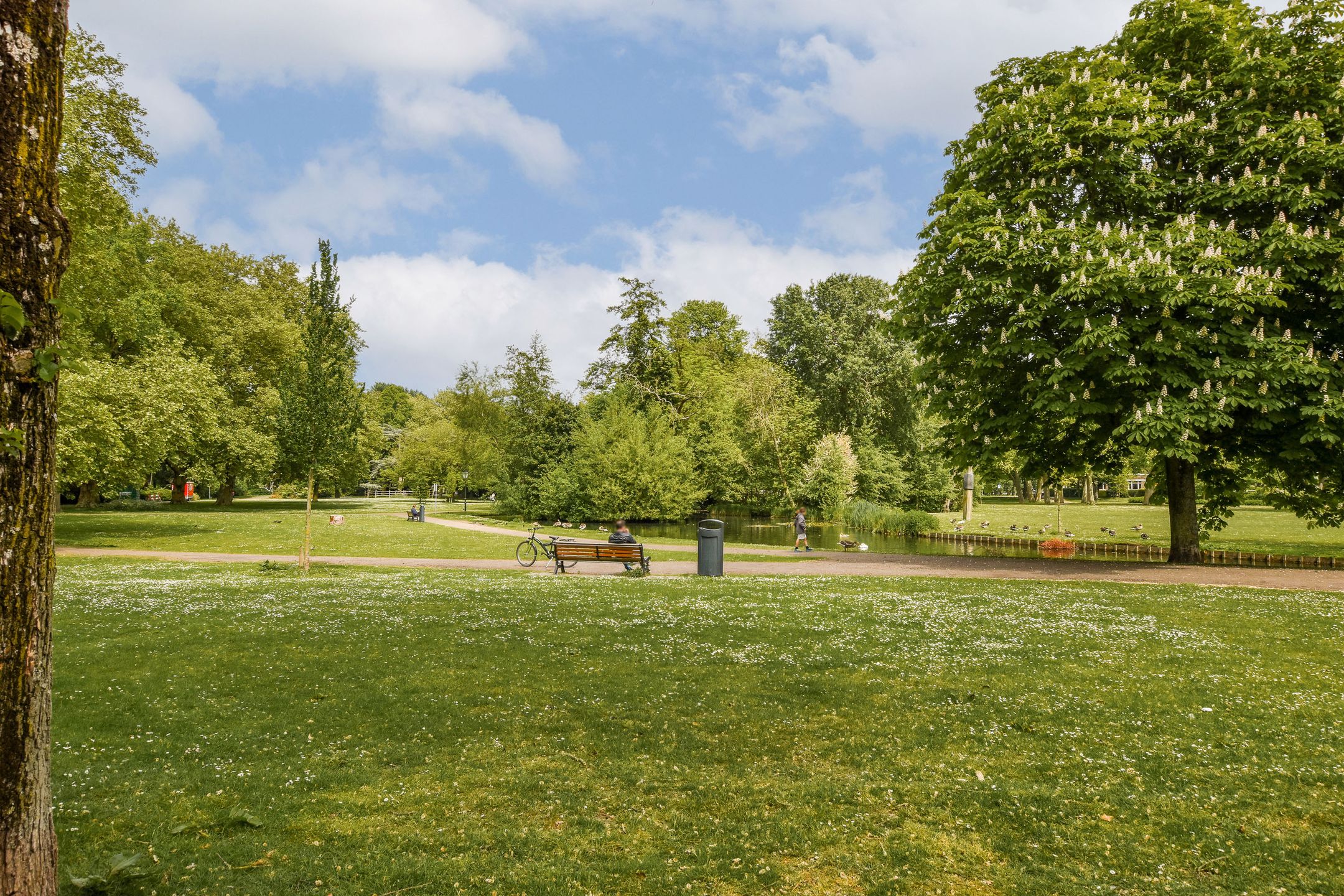 Foto 21 van 1e Jerichostraat 91-A01