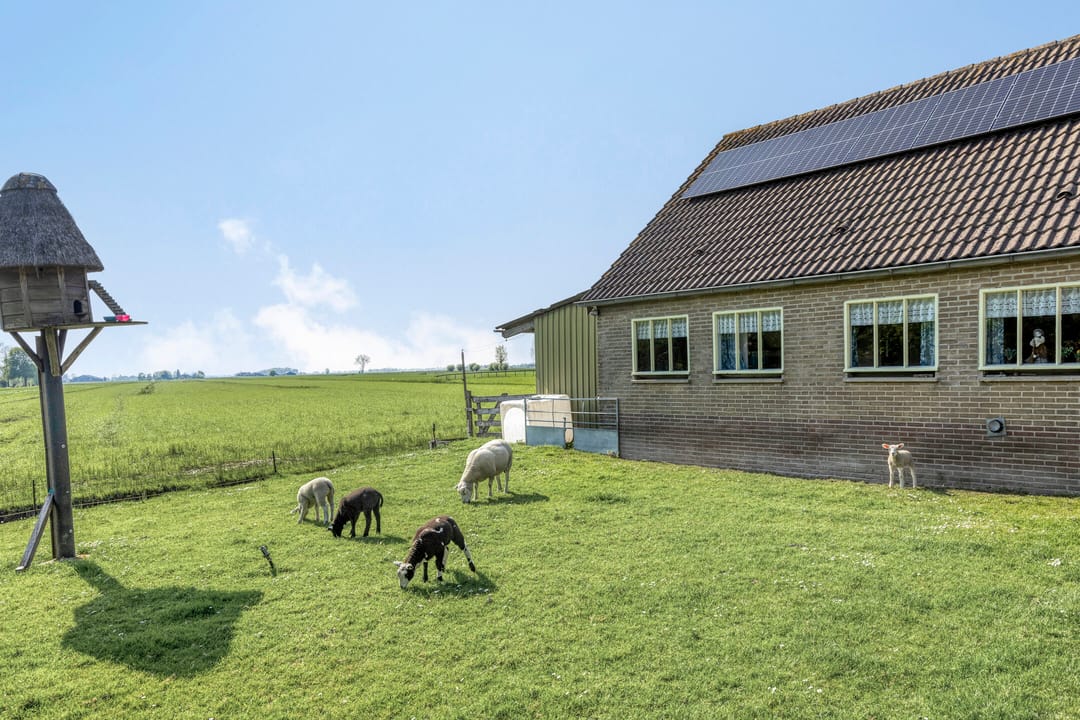 Foto 46 van Achtersloot 41-B